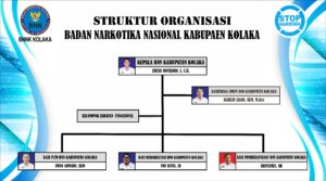 Struktur Organisasi BNN Kabupaten Kolaka